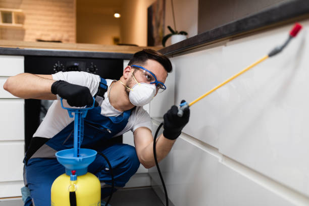 Best Best Pest Control Near Me  in Kannapolis, NC