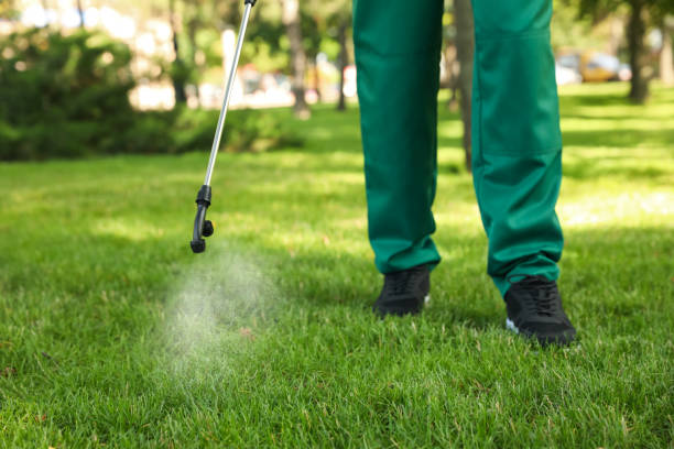 Best Pest Removal Services  in Kannapolis, NC