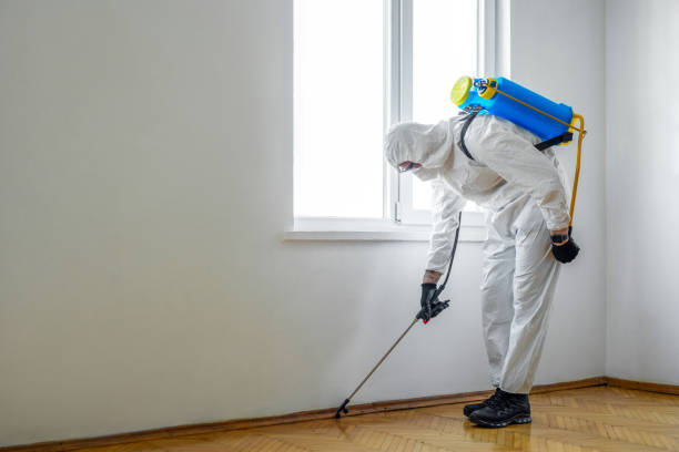 Best Wildlife Control Services  in Kannapolis, NC