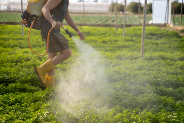 Best Residential Pest Control  in Kannapolis, NC
