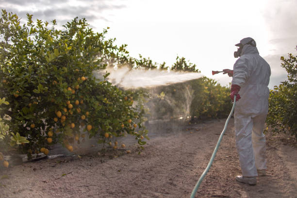 Reliable Kannapolis, NC Pest Control Solutions